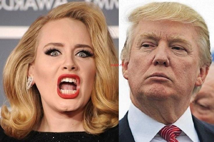 Adele warns Donald Trump