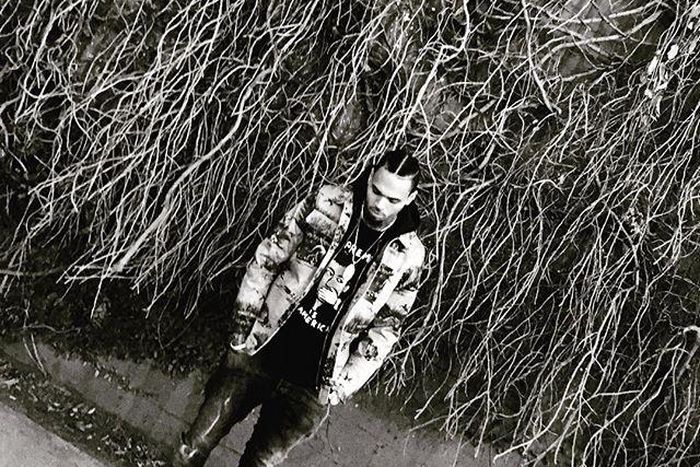 Chris Brown rocking cornrows