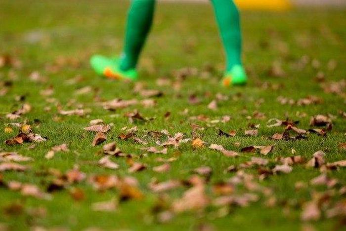 Match-fixing attempts uncovered by Dutch probe