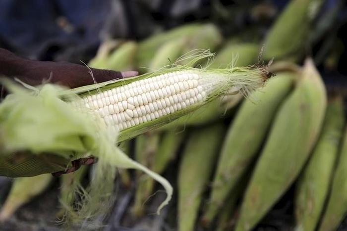 A hawker prepares a cob of corn at his makeshift shop in Soweto, January 27, 2016. REUTERS/Siphiwe Sibeko
