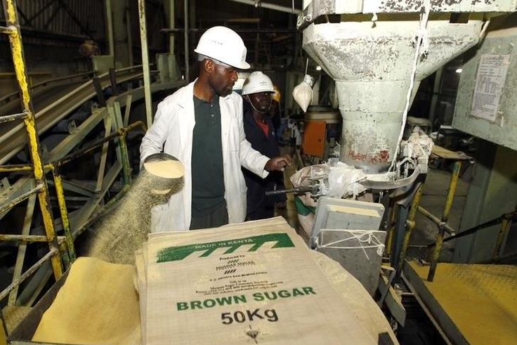 A worker weighs and packs bags of sugar at the Mumias sugar factory in western Kenya February 24, 2015. REUTERS/Thomas Mukoya