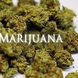 Marijuana industry records almost $1 billion in sales