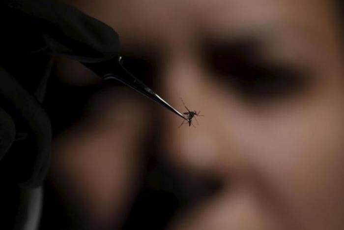 Scientists find Zika in saliva, urine; unclear if can transmit infection