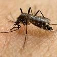 Danish man tests positive for Zika virus after Brazil trip