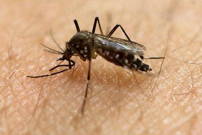 Danish man tests positive for Zika virus after Brazil trip