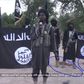 Screen shot from Boko Haram video showing amputation of two men's hands