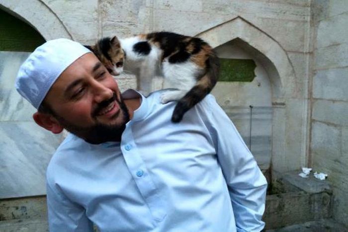 Mosque goes viral after opening its doors to local cats