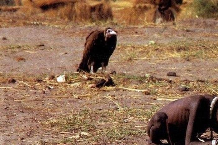 'Not Only The Brave Survive' by Nnawuihe Wisdom Chisom