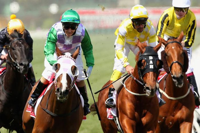 ___4319856___https:______static.pulse.com.gh___webservice___escenic___binary___4319856___2015___11___3___13___princeofpenzance-cropped_6psq1h4ix24m13r13sk13esmr