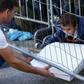 The kind gesture of a waiter delivering pizza to a group of migrants and refugees waiting behind a fence goes viral.