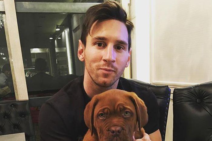 Lionel Messi gets new puppy
