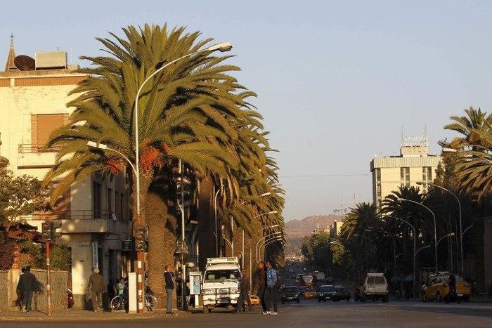 A general view shows palm trees along the main street of Eritrea's capital Asmara, February 20, 2016 REUTERS/Thomas Mukoya