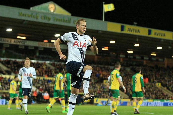 Harry Kane celebrates after scoring against Norwich on Tuesday, February, 2
