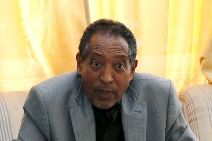 Eritrea's director-general of the Department of Mines Alem Kibreab speaks during a Reuters interview inside his office in the capital Asmara February 16, 2016. REUTERS/Thomas Mukoya