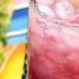 ___4725852___https:______static.pulse.com.gh___webservice___escenic___binary___4725852___2016___2___24___18___Prickly+Pear+Cactus+Margarita_1
