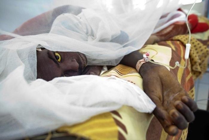 Saleh Mohammed Hamid, 18, from West Darfur's Gocker, is treated at Teaching Hospital after getting infected with yellow fever in El Geneina in this November 14, 2012 handout. REUTERS/Albert Gonzalez Farran/UNAMID/Handout