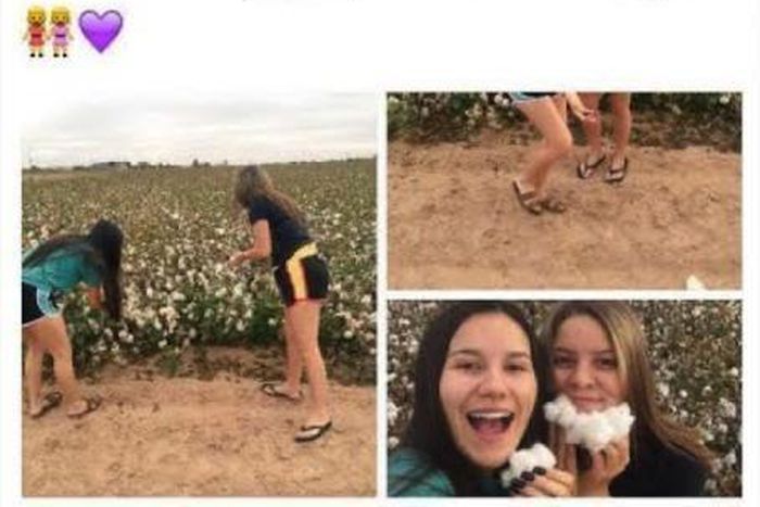 Erika Escalente, an intern who got fired over racist tweets