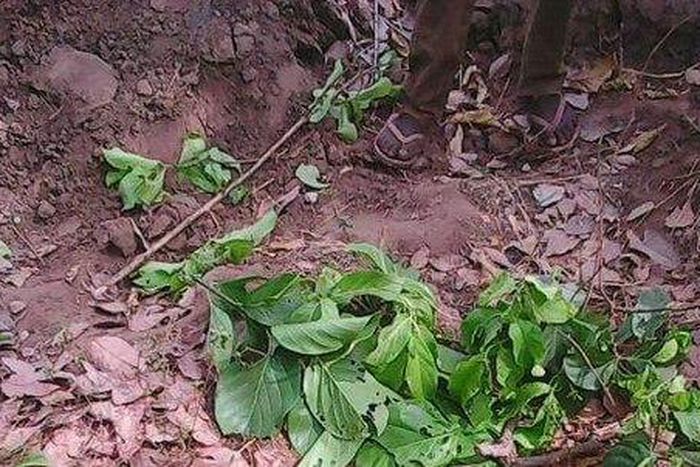 Man beheads step mother