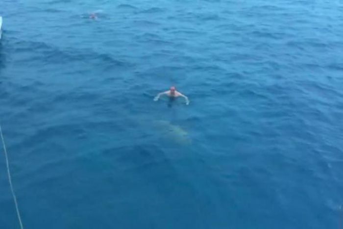 Man nearly collides with shark while swimming