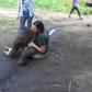 Picture of an elephant playing on woman's lap goes viral