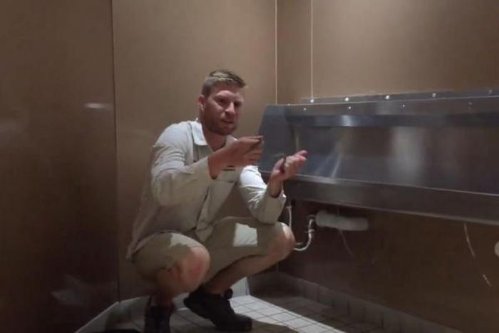 Snake found hiding in hotel bathroom