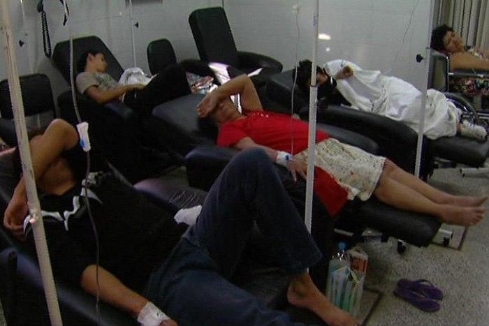 Paraguay could face threat from dengue, other fevers this year