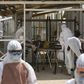 Mystery deaths in Sierra Leone spread fear of Ebola relapses