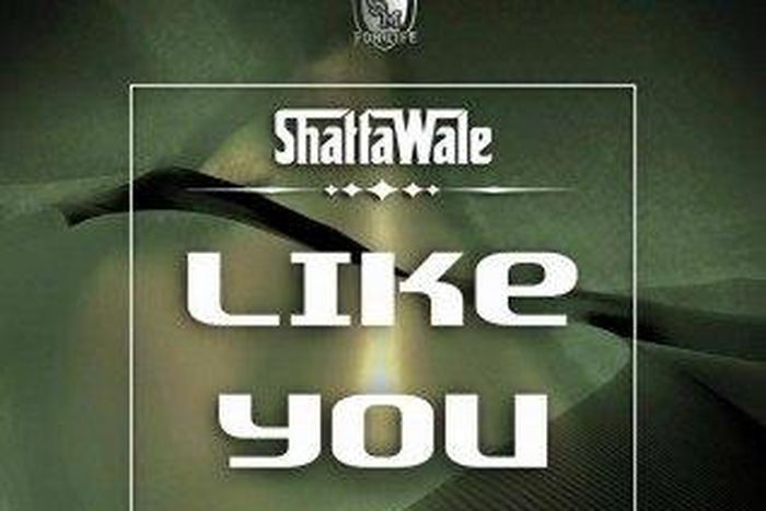 ___4724872___https:______static.pulse.com.gh___webservice___escenic___binary___4724872___2016___2___24___15___Shatta+Wale+-+like+you