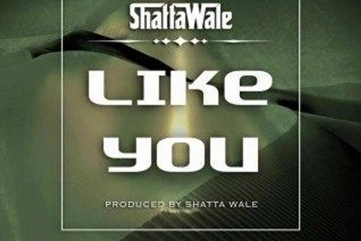 ___4724872___https:______static.pulse.com.gh___webservice___escenic___binary___4724872___2016___2___24___15___Shatta+Wale+-+like+you