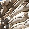 An unidentified government official sits on sacks of wheat donated by the U.S. at a food distribution point near Jijiga, eastern Ethiopia in a file photo. REUTERS/Barry Malone