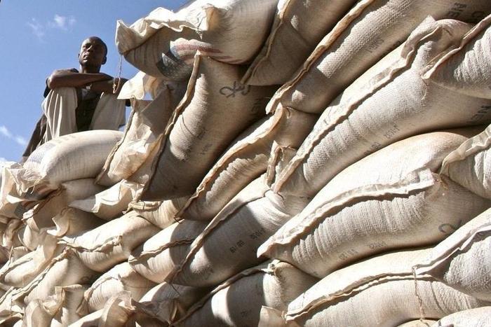 An unidentified government official sits on sacks of wheat donated by the U.S. at a food distribution point near Jijiga, eastern Ethiopia in a file photo. REUTERS/Barry Malone