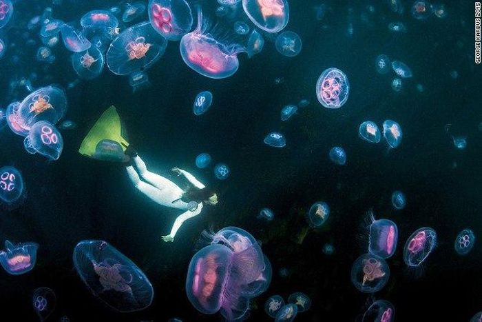 ___4665996___https:______static.pulse.com.gh___webservice___escenic___binary___4665996___2016___2___9___14___under-exposed---george-karbus