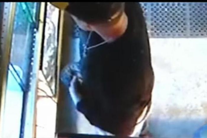 Thief stuffs Python in his pants after stealing it from a pet store