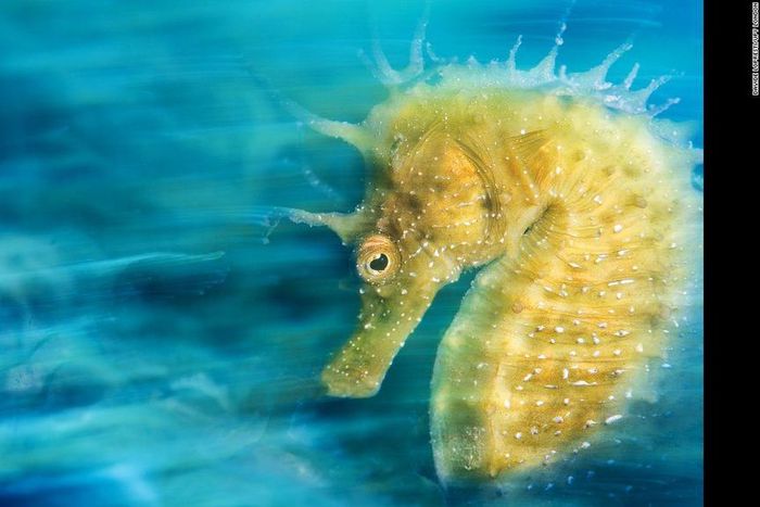 ___4730418___https:______static.pulse.com.gh___webservice___escenic___binary___4730418___2016___2___25___20___160221154241-01-upylondon-winners-01-201davidelopresti-super-169_1