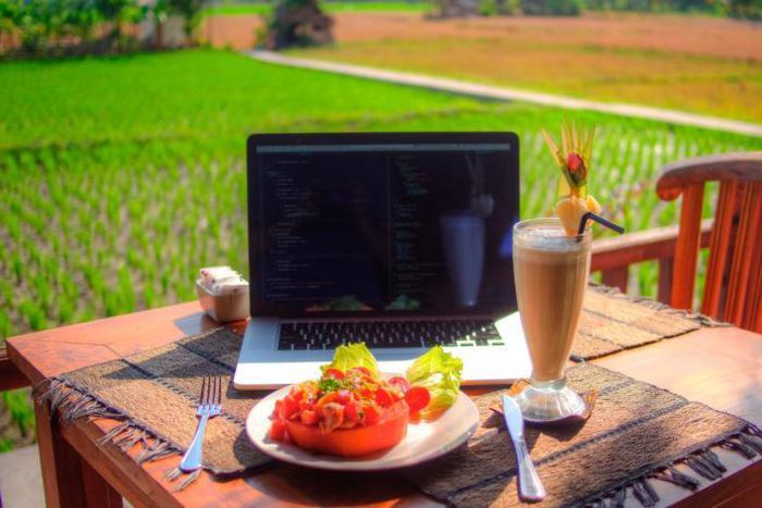 Starting an online business