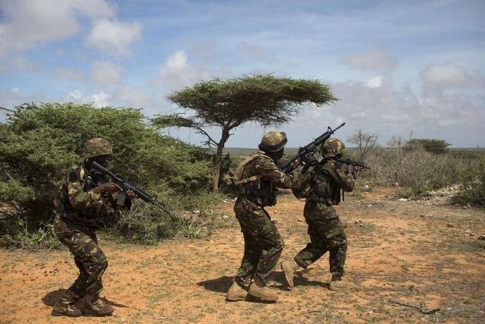 Kenya Defence Forces (KDF) Rangers, who are part of the African Mission in Somalia (AMISOM), secure an area during a foot patrol on the outskirts of the controlled area of the old airport in the coastal town of Kismayu in southern Somalia November 12, ...