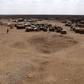 Ethiopia seeks donor support to meet drought needs