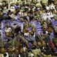 Malaysian police find more bodies of migrants from Indonesian boat