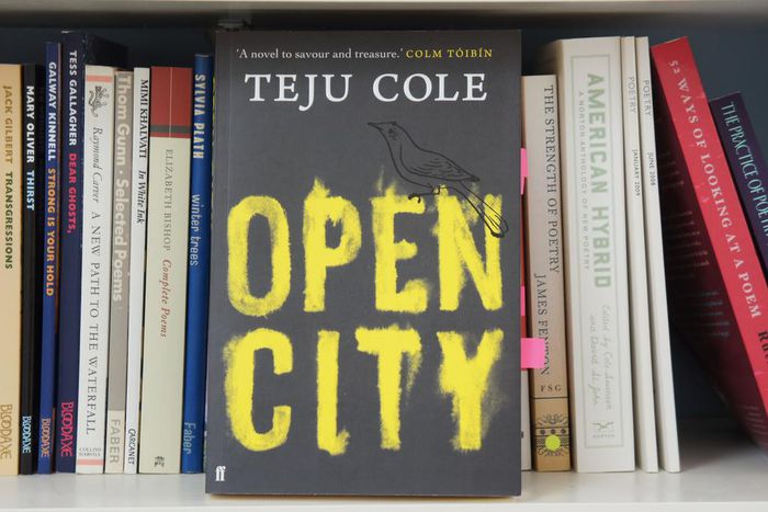 ___3948303___https:______static.pulse.com.gh___webservice___escenic___binary___3948303___2015___7___7___16___open-city-by-teju-cole