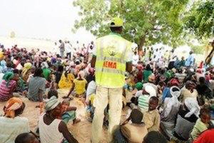 NEMA recorded 410 births, 187 marriages at IDP camps in 2 months - official