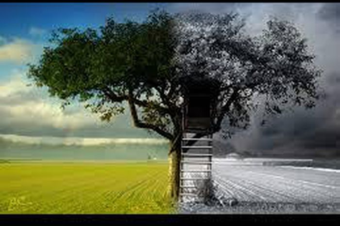 ___3821300___https:______static.pulse.com.gh___webservice___escenic___binary___3821300___2015___6___2___17___images