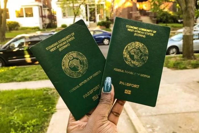 dual-citizenship nigerian scholars