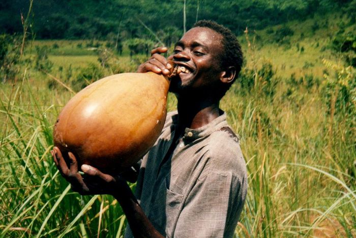 ___4062130___https:______static.pulse.com.gh___webservice___escenic___binary___4062130___2015___8___11___18___Refreshing_palm_wine_1