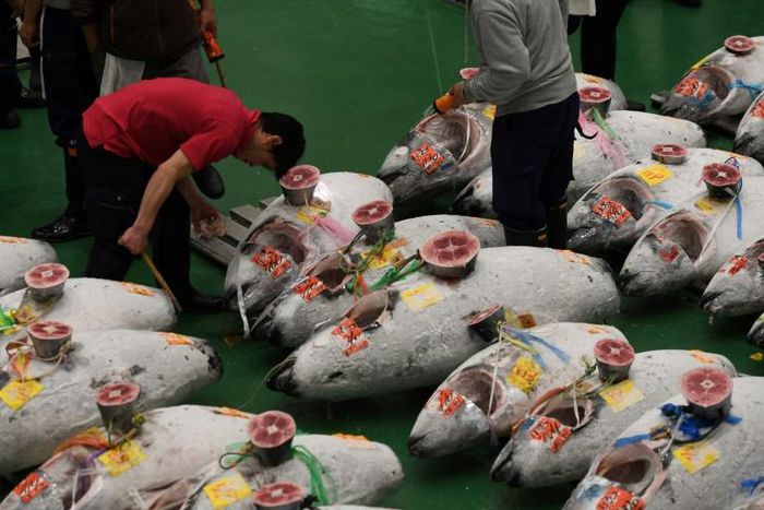 Bidding on tuna at Tokyo's fish market (pictured October 2018 at its reopening) stopped at at a whopping 333.6 million yen for an enormous 278-kilogramme (612-pound) fish