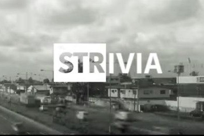 ___4103037___https:______static.pulse.com.gh___webservice___escenic___binary___4103037___2015___8___25___13___strivia