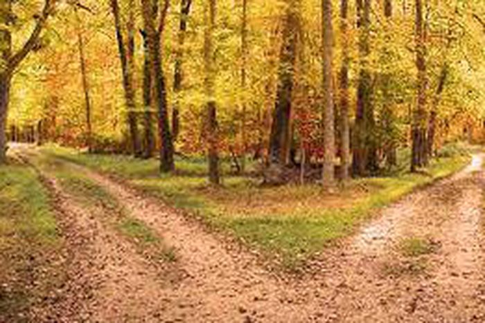 ___3801193___https:______static.pulse.com.gh___webservice___escenic___binary___3801193___2015___5___27___15___images