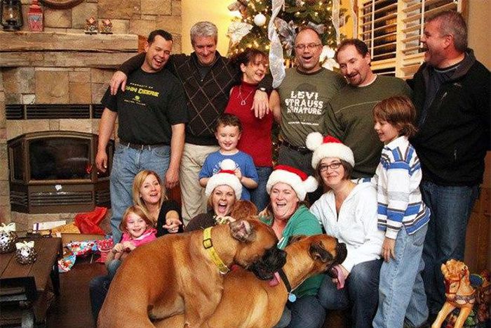 ___4490081___https:______static.pulse.com.gh___webservice___escenic___binary___4490081___2015___12___23___8___family14