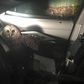 Owl goes viral after attacking police officer