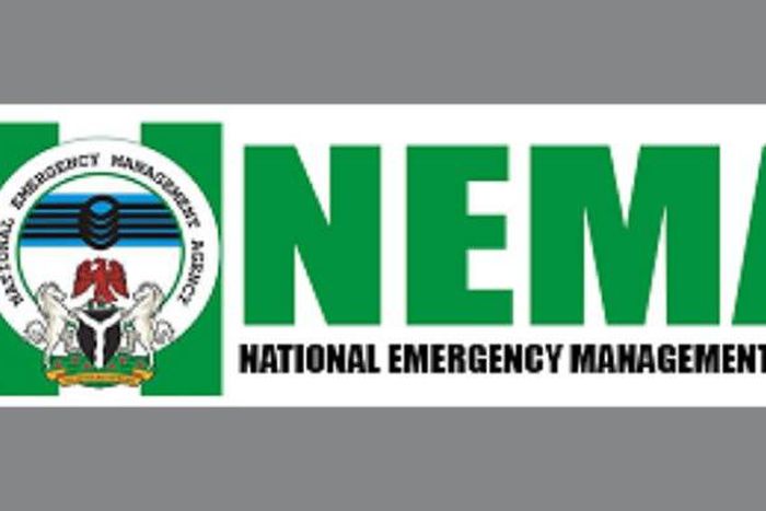 NEMA receives 1,187 Nigerian returnees from Cameroon