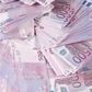 Austrian police baffled by tens of thousands of euros scattered in Danube